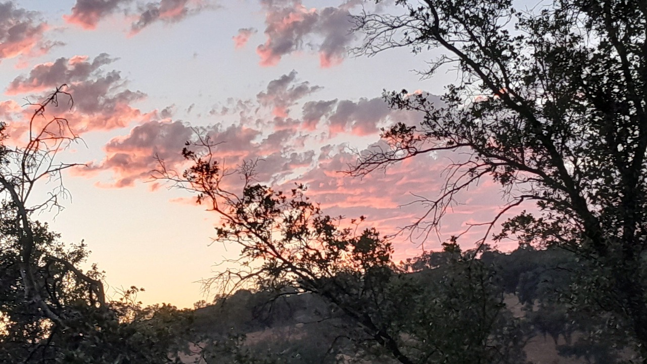 Photo of Outdoor in Mokelumne Hill