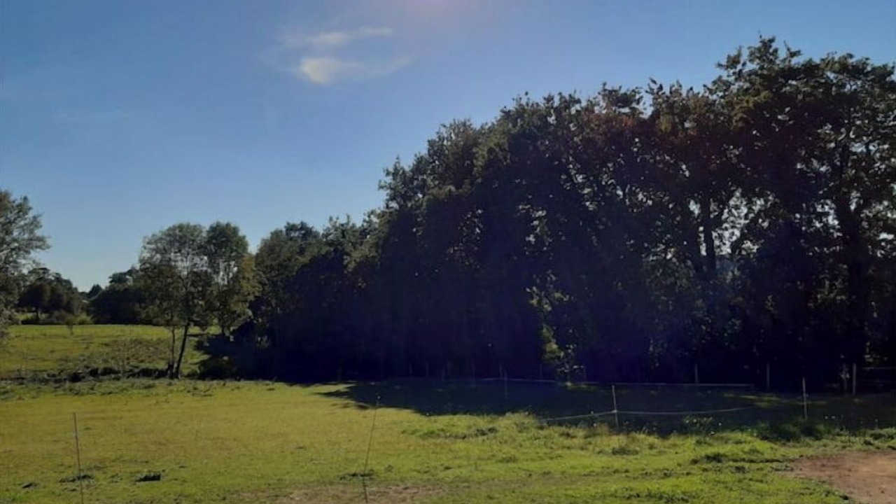 Photo of Outdoor in Saint-Guyomard