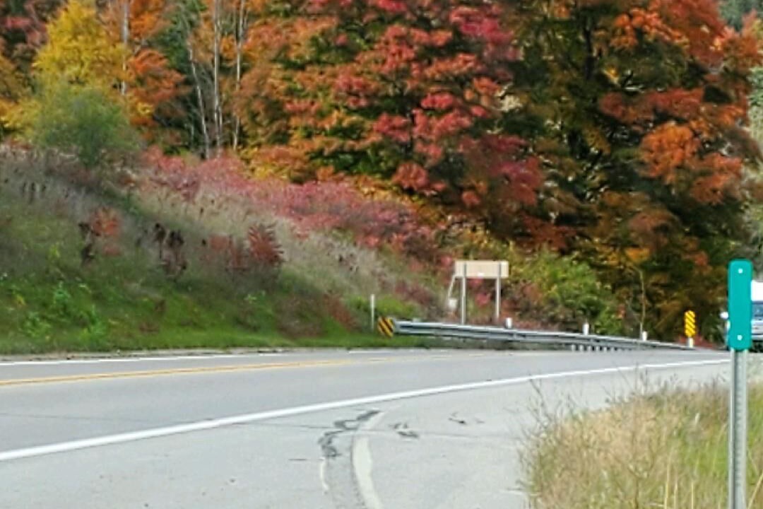 Photo of Others in Mesick