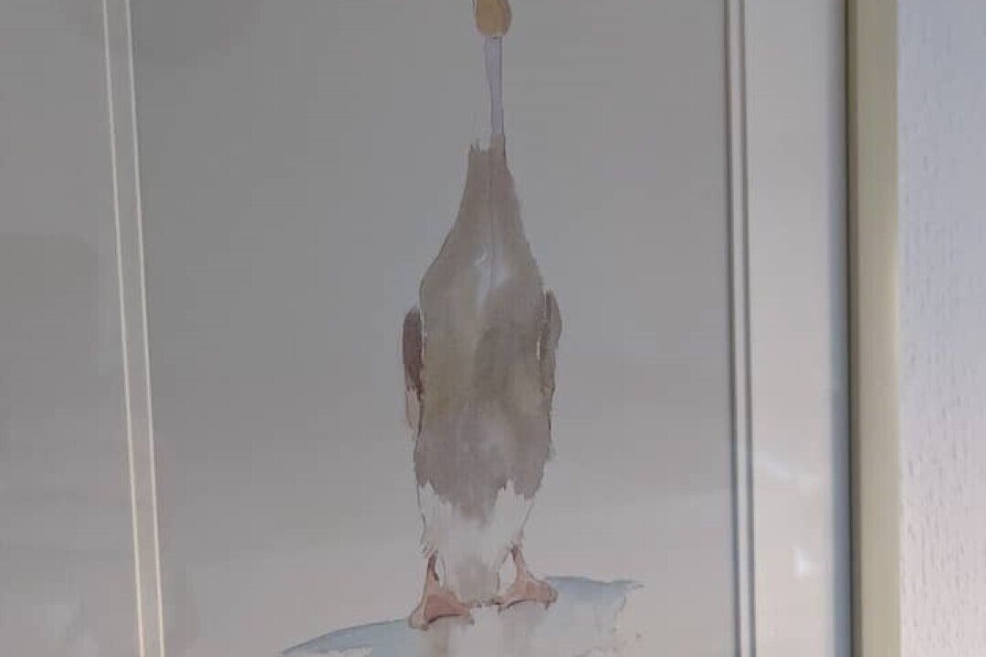 Photo of Others in Parbold