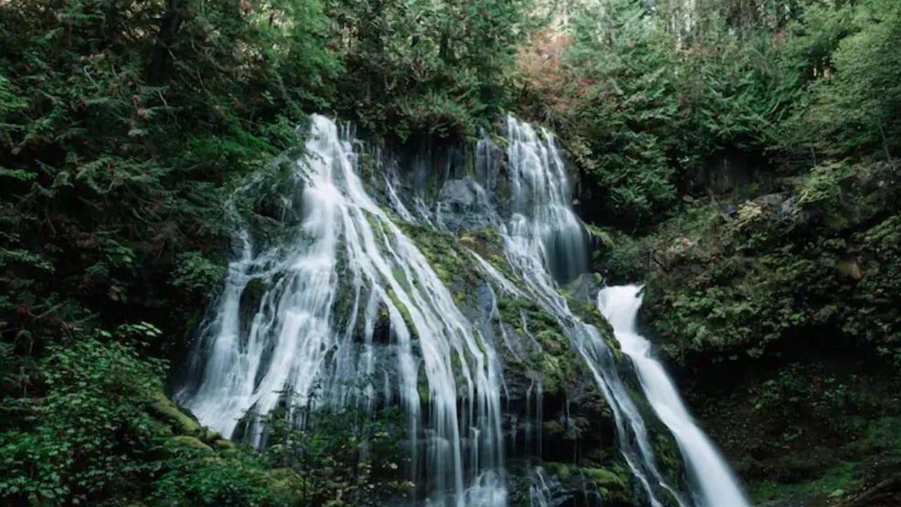 Photo of Outdoor in Five Corners