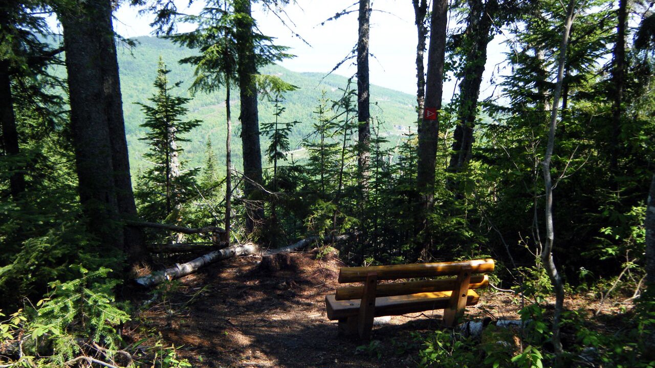 Photo of Outdoor in Petite-Riviere-Saint-Francois