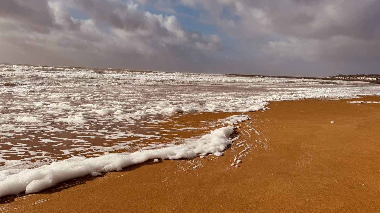 Photo of Others in Jard-sur-Mer