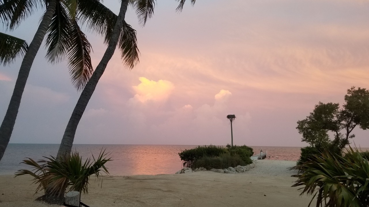 Photo of Outdoor in Upper Matecumbe Key