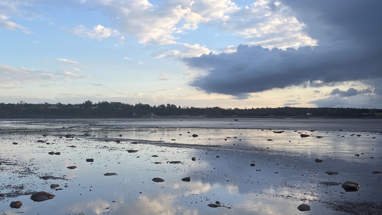 Photo of Others in Newport Landing