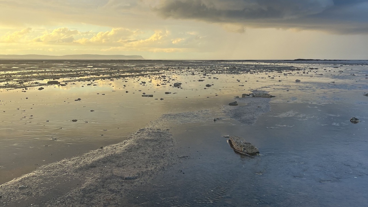 Photo of Others in Newport Landing