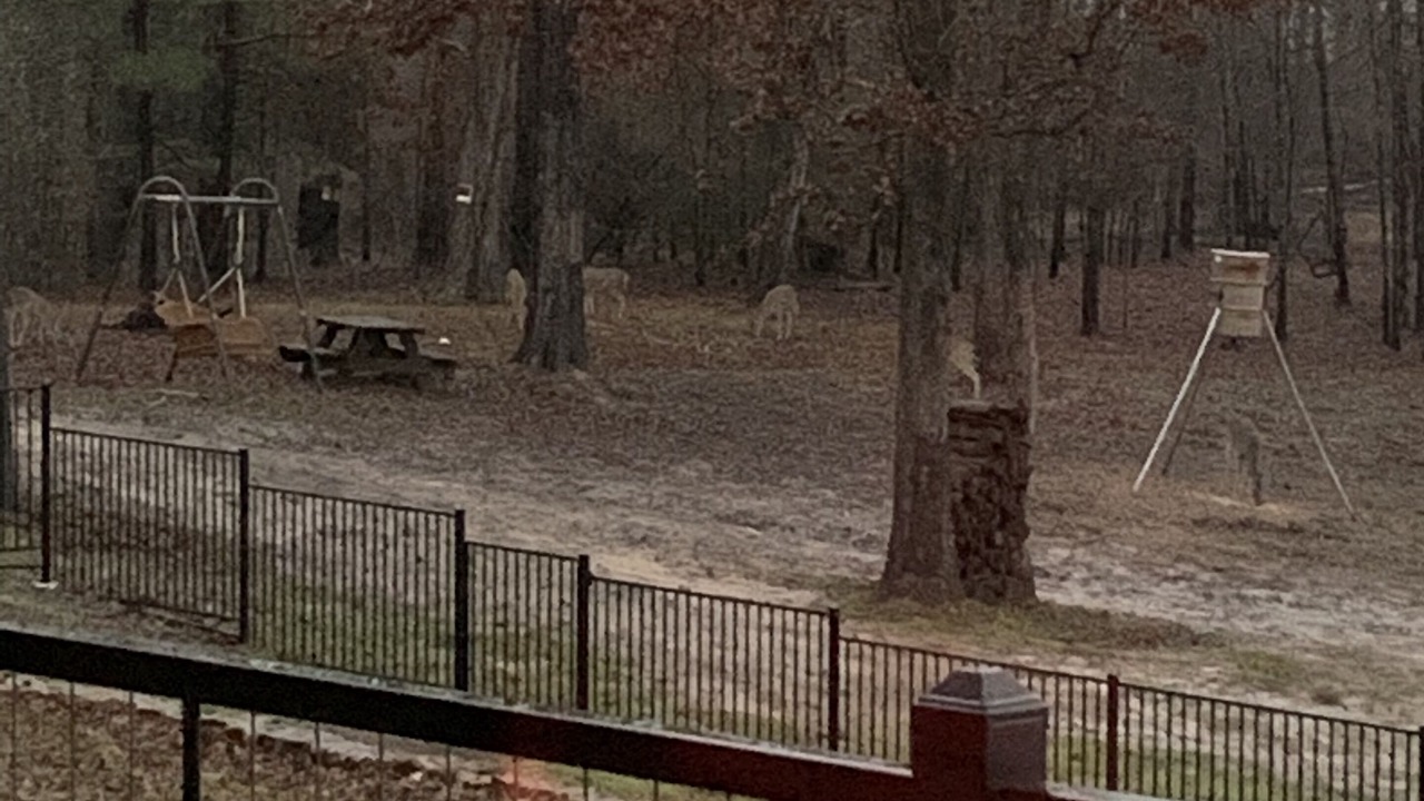 Photo of Outdoor in Avinger