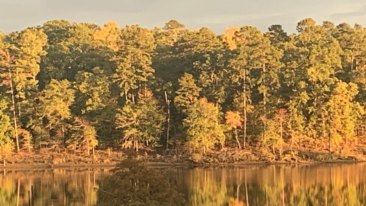 Photo of Others in Avinger