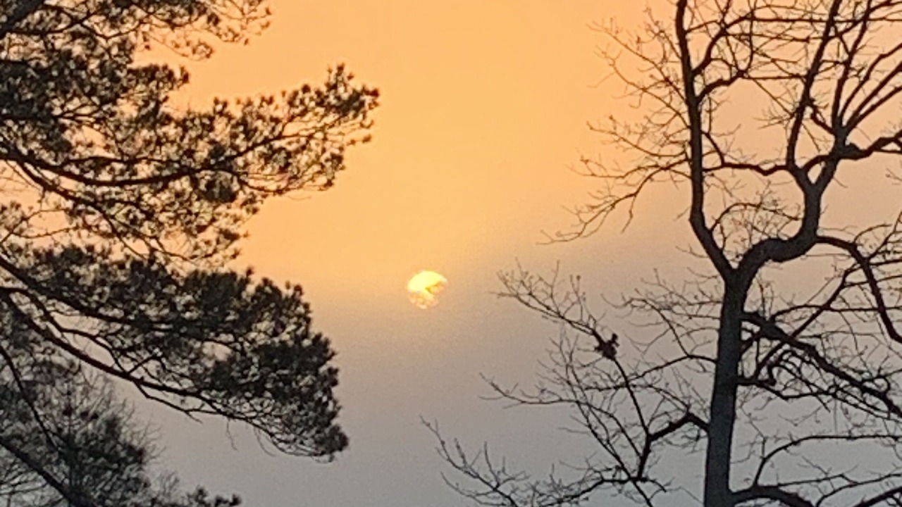 Photo of Outdoor in Avinger