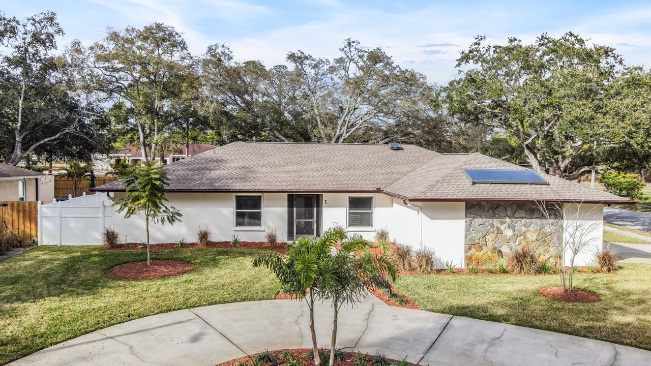 Photo of Outdoor in Safety Harbor