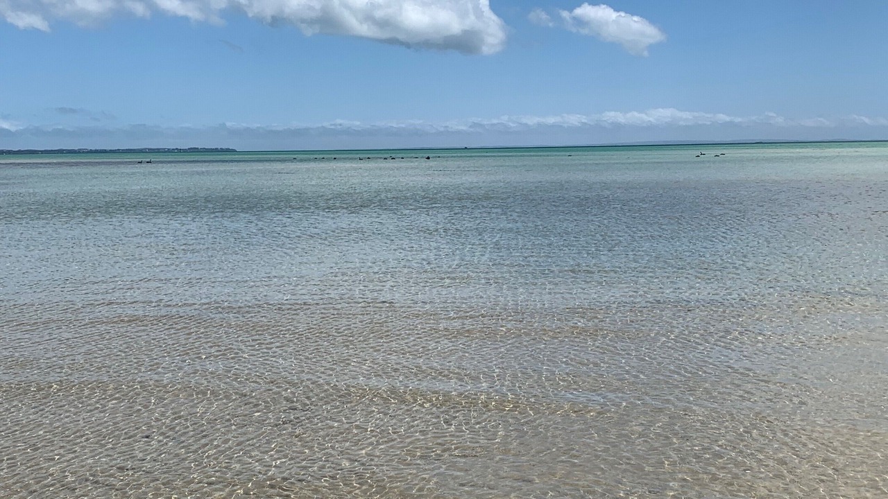 Photo of Others in Capel Sound