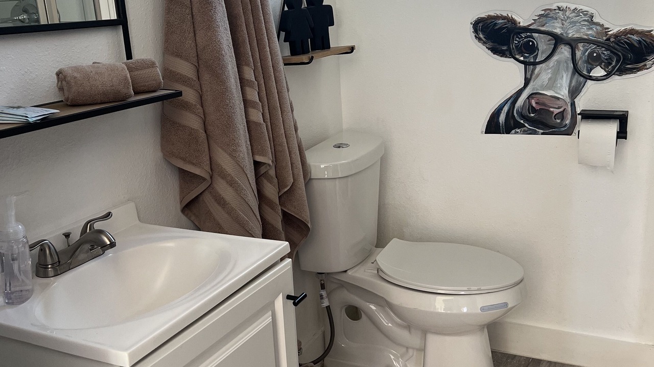 Photo of Bathroom in King's River Township