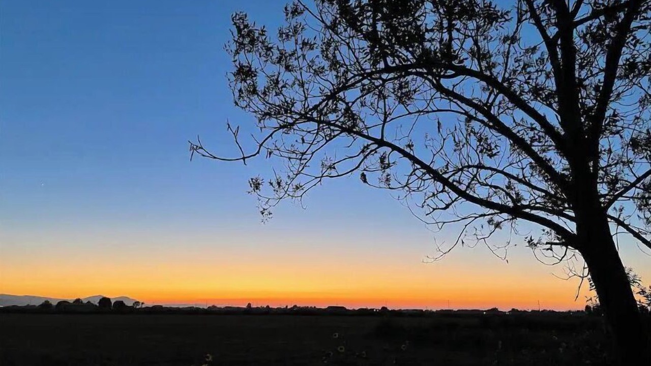 Photo of Others in Tracy