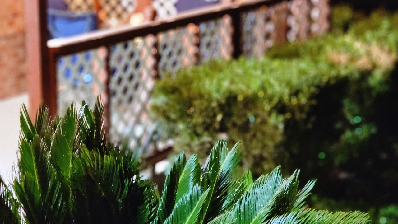 Photo of Outdoor in Rosewood