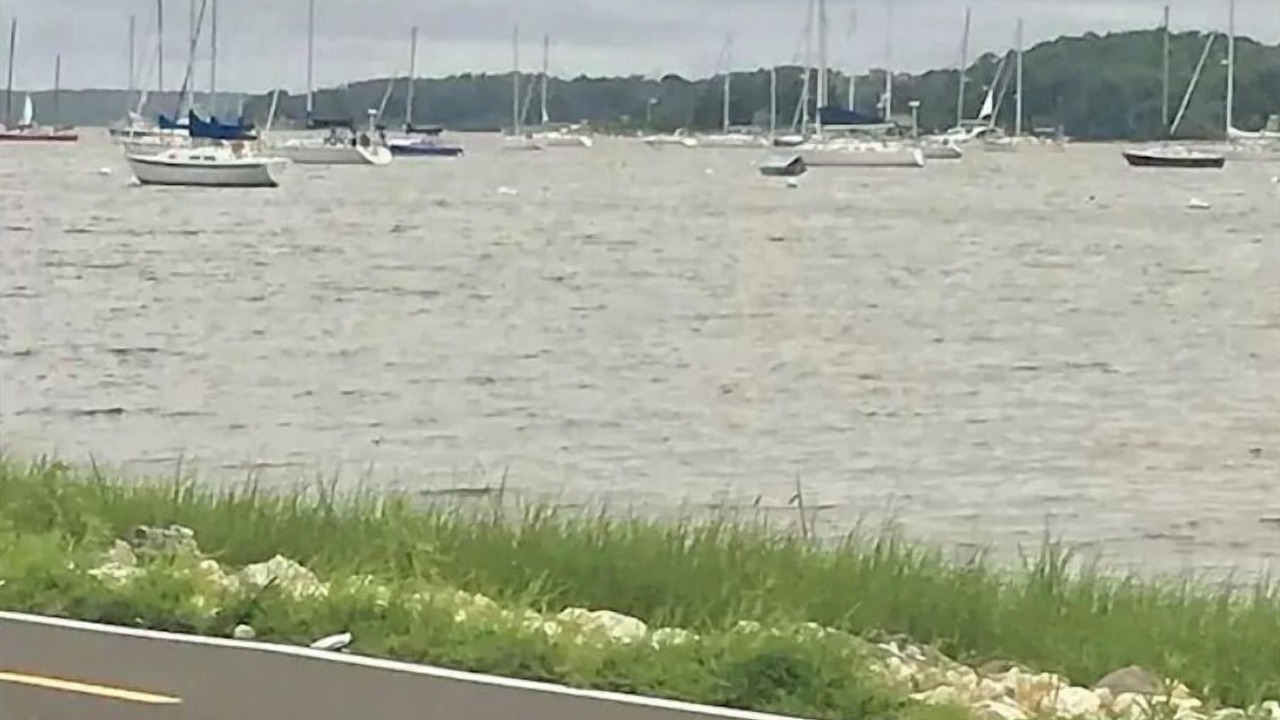 Photo of Others in Bristol