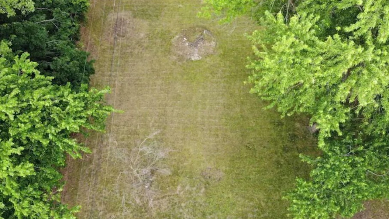 Photo of Outdoor in Merriam