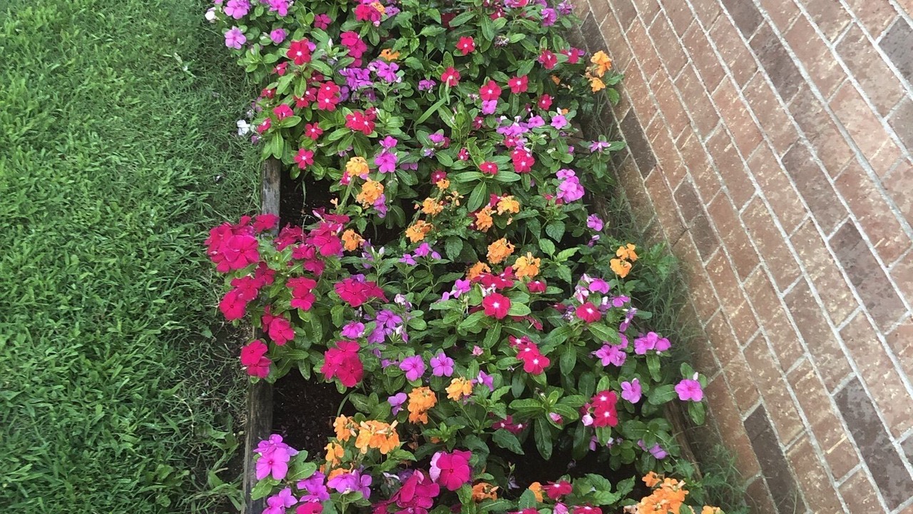 Photo of Others in Southwind