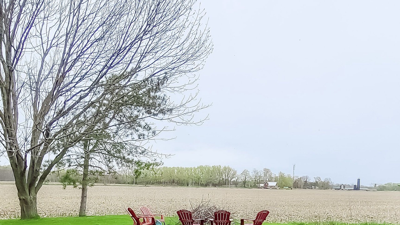 Photo of Outdoor in Picton