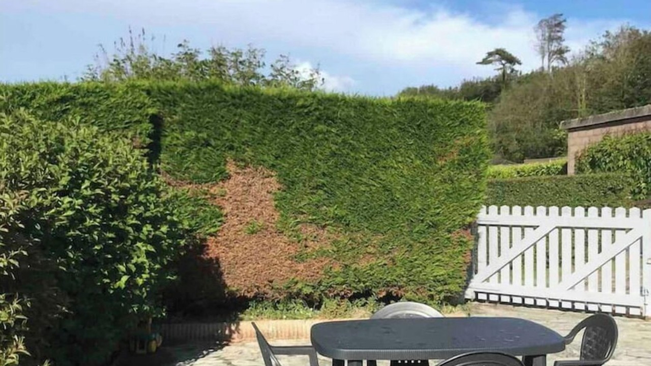 Photo of Outdoor in Saint-Valery-en-Caux