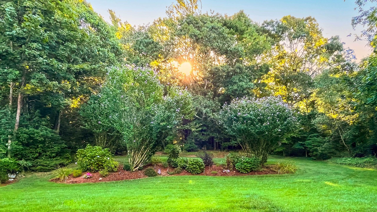 Photo of Outdoor in Bourne