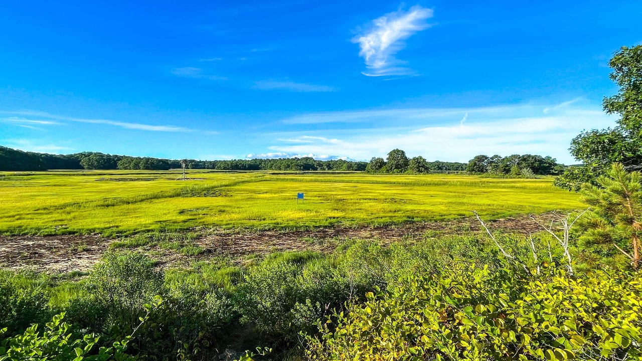 Photo of Others in Bourne