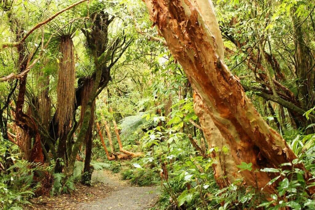 Photo of Outdoor in Owaka