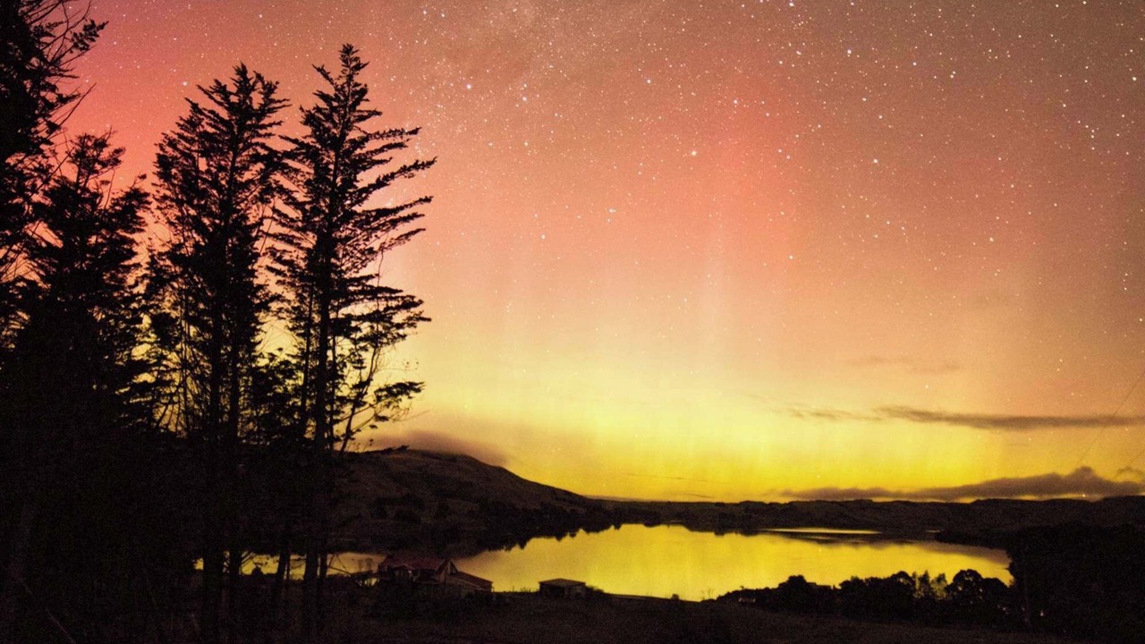 Photo of Others in Owaka