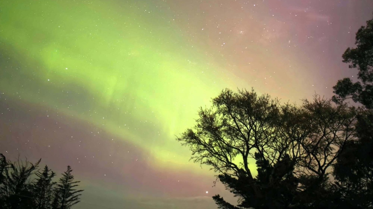 Photo of Others in Owaka