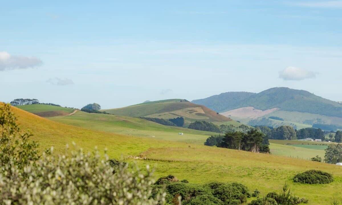 Photo of Others in Owaka