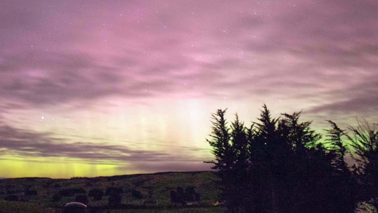 Photo of Others in Owaka