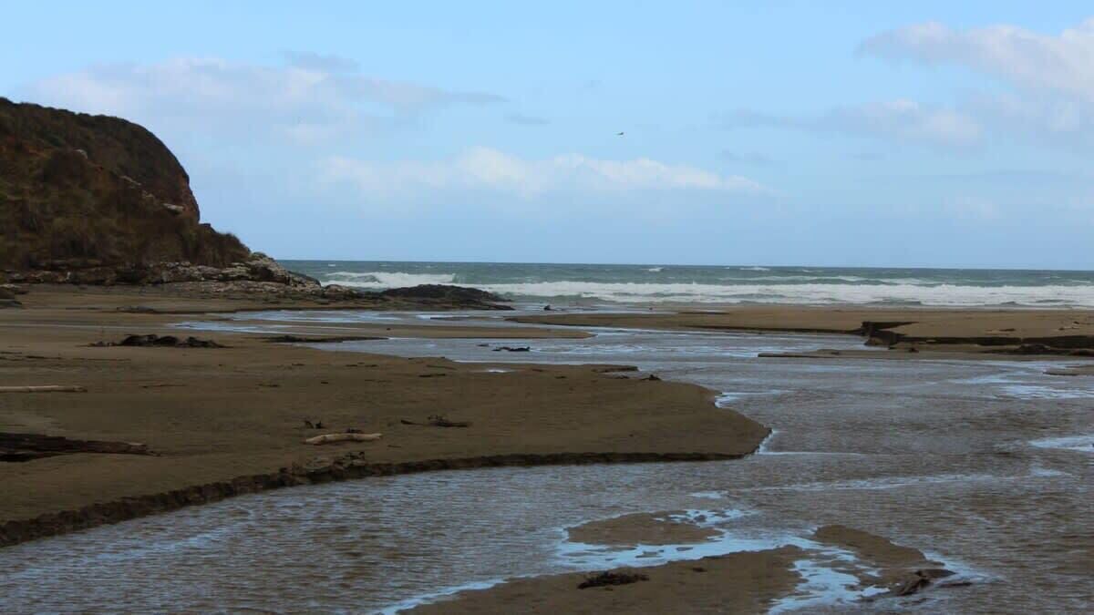 Photo of Others in Owaka