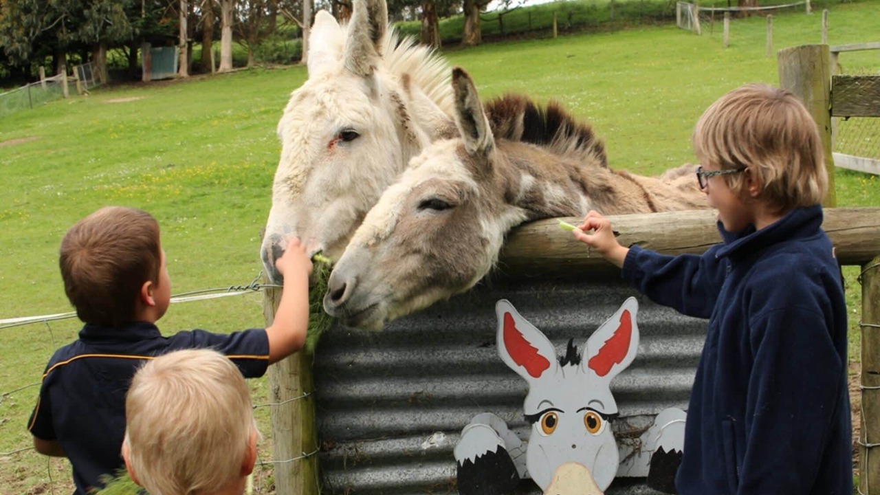 Photo of Others in Owaka