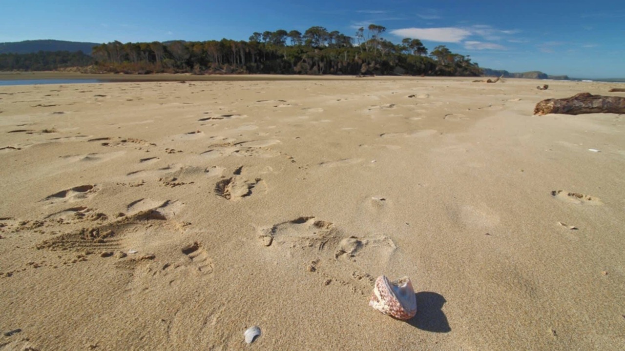 Photo of Others in Owaka