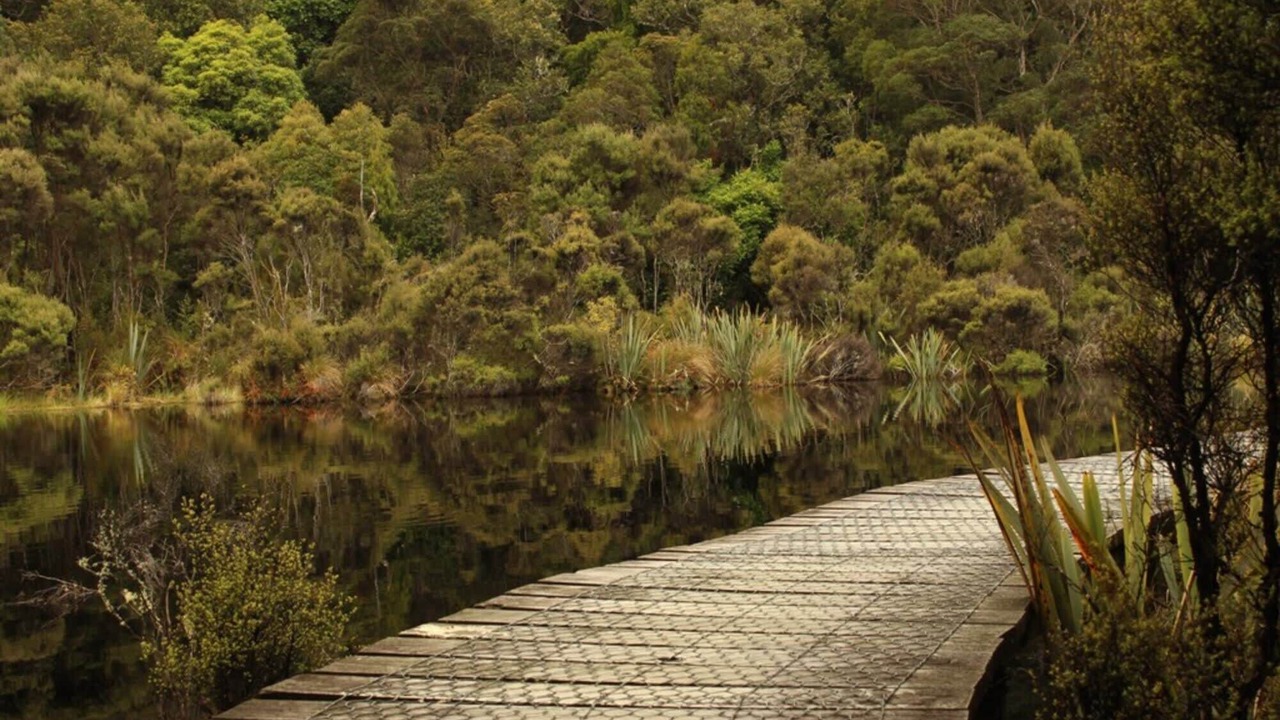 Photo of Others in Owaka