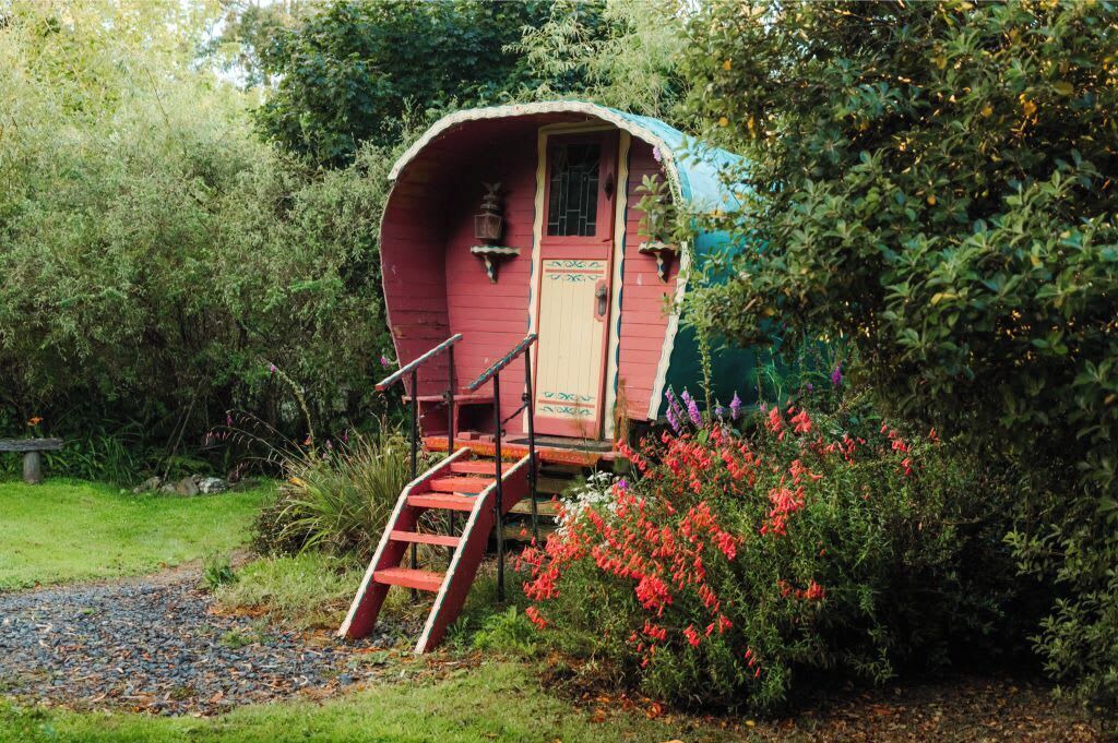 Photo of Outdoor in Owaka