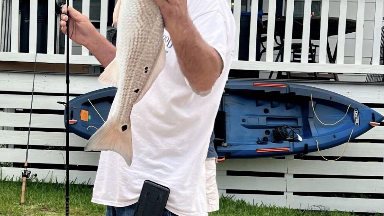 Photo of Others in Rockport