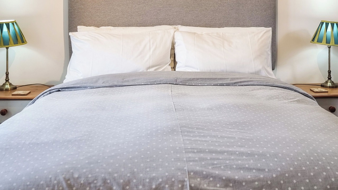 Photo of Others in Portishead