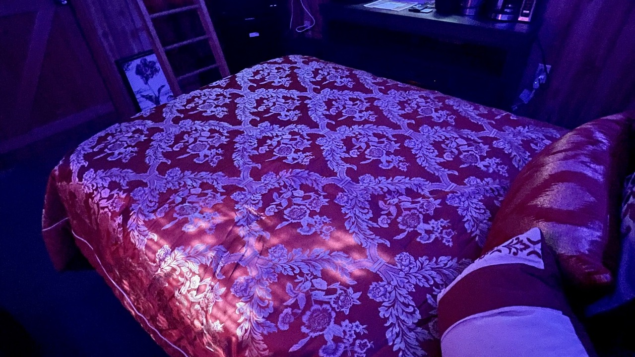 Photo of Bedroom in Brooklyn