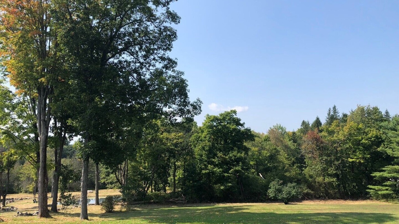 Photo of Outdoor in Litchfield