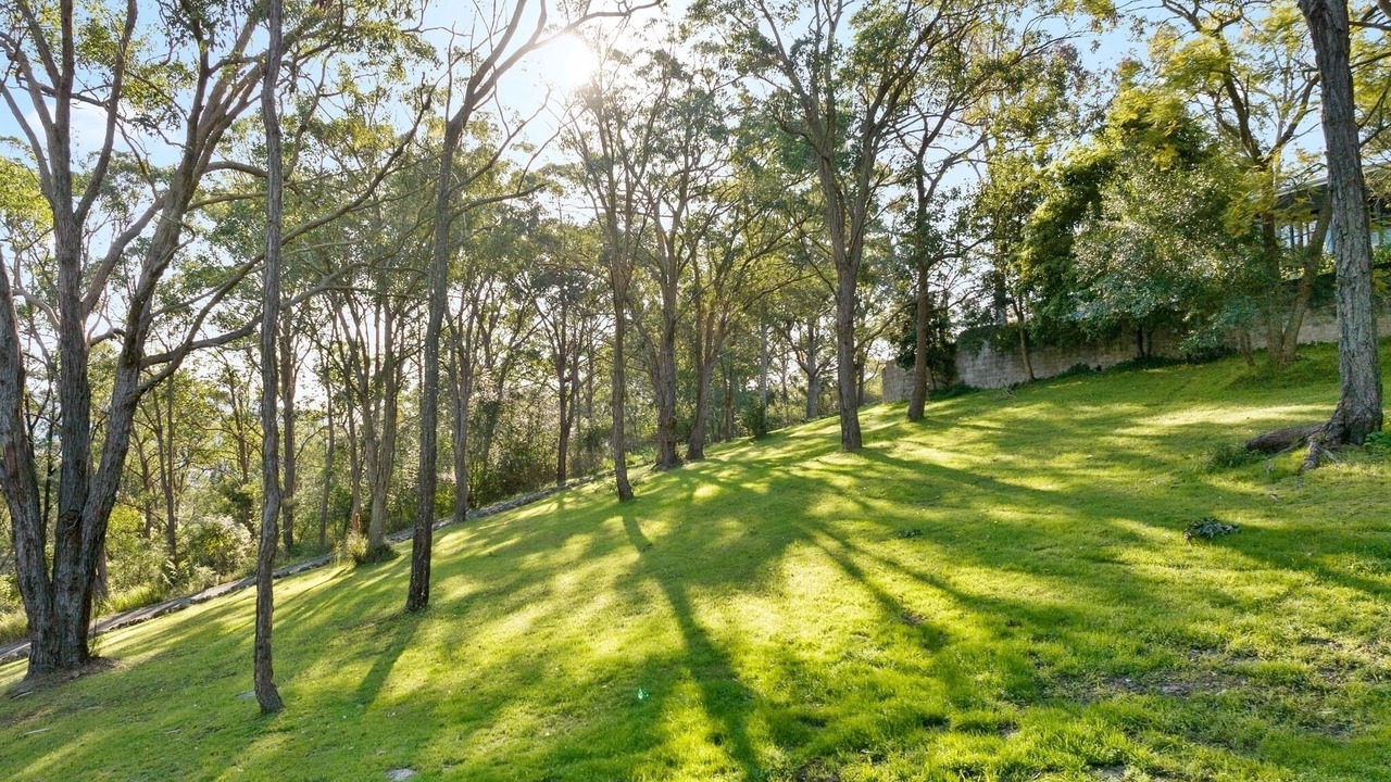 Photo of Outdoor in Paterson