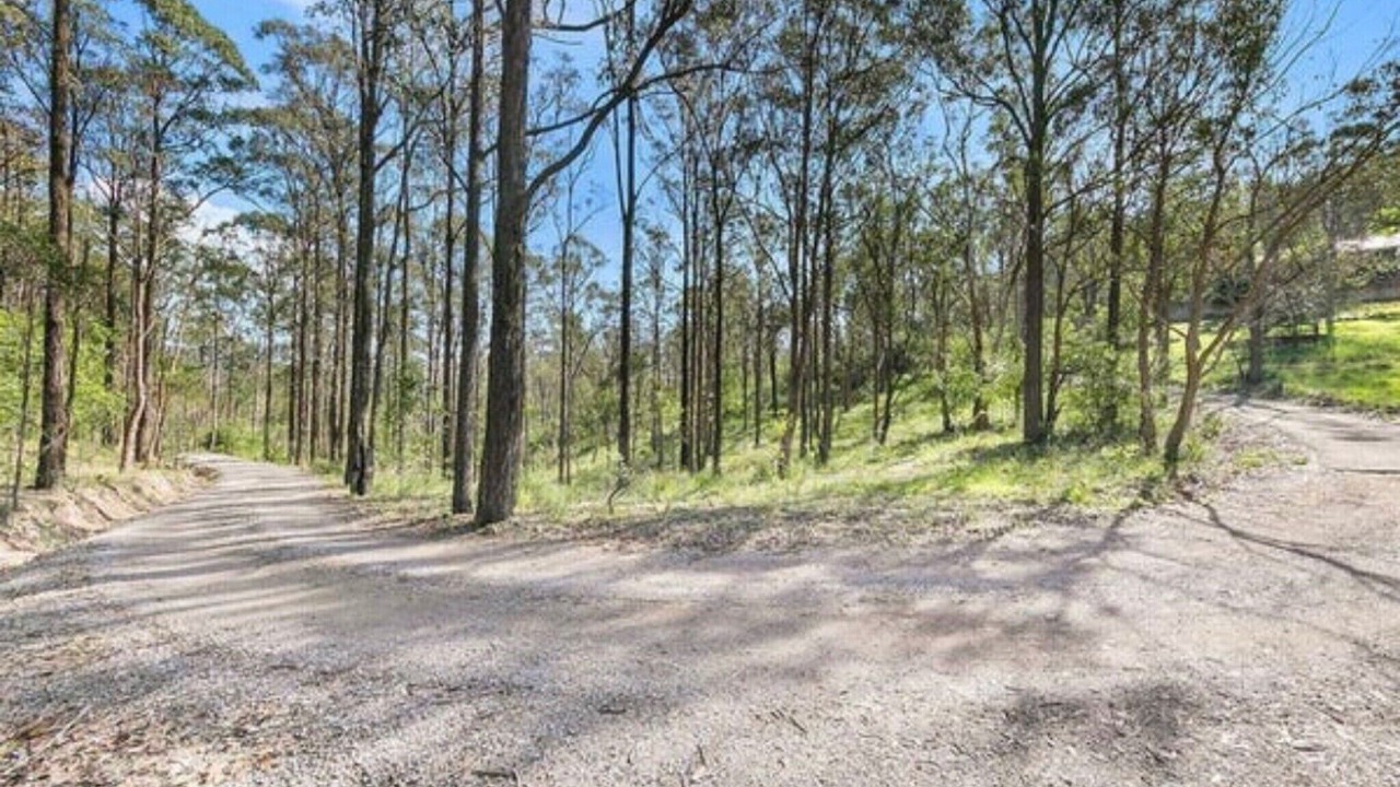 Photo of Outdoor in Paterson