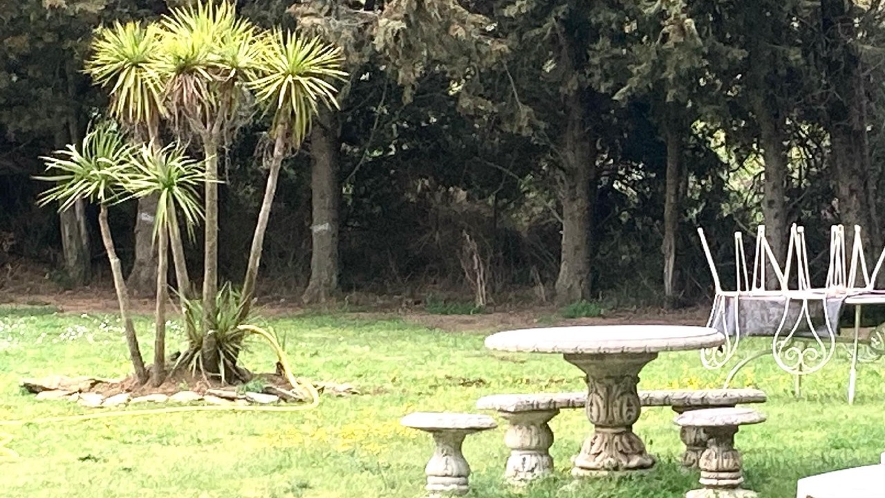 Photo of Outdoor in Trebes