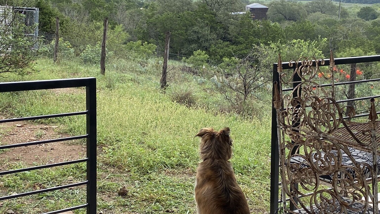 Photo of Outdoor in Burnet