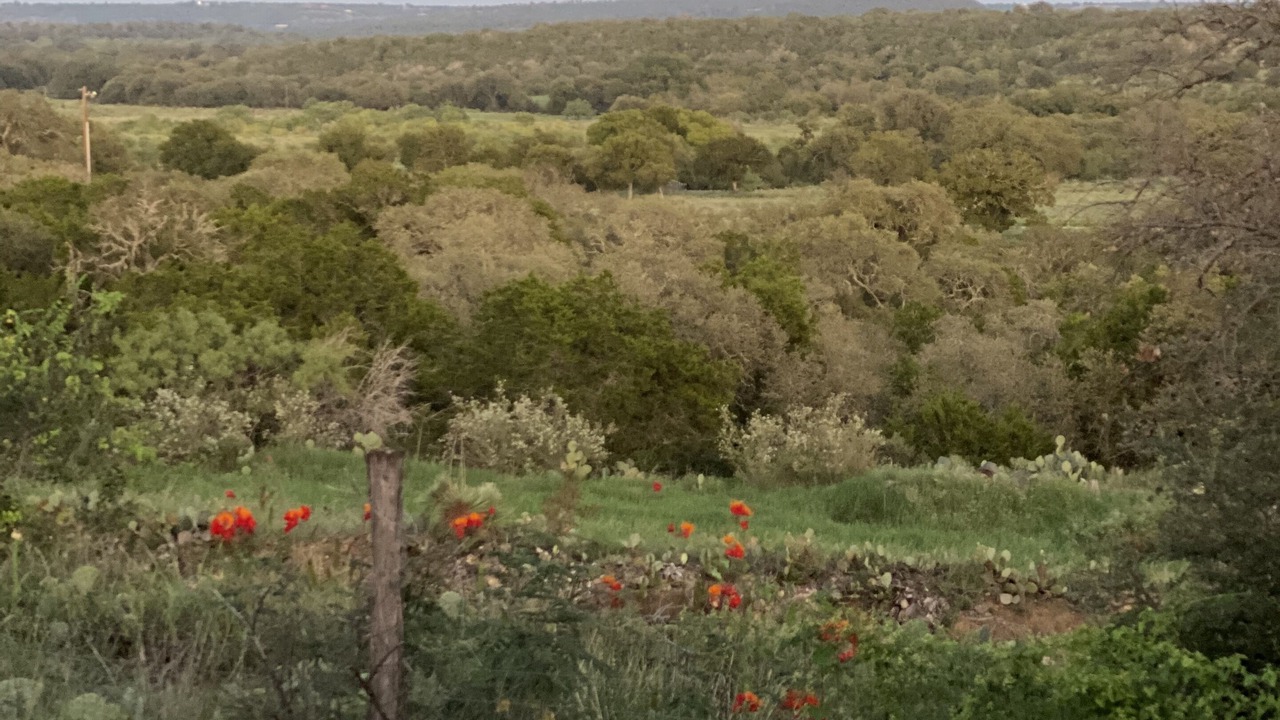 Photo of Outdoor in Burnet