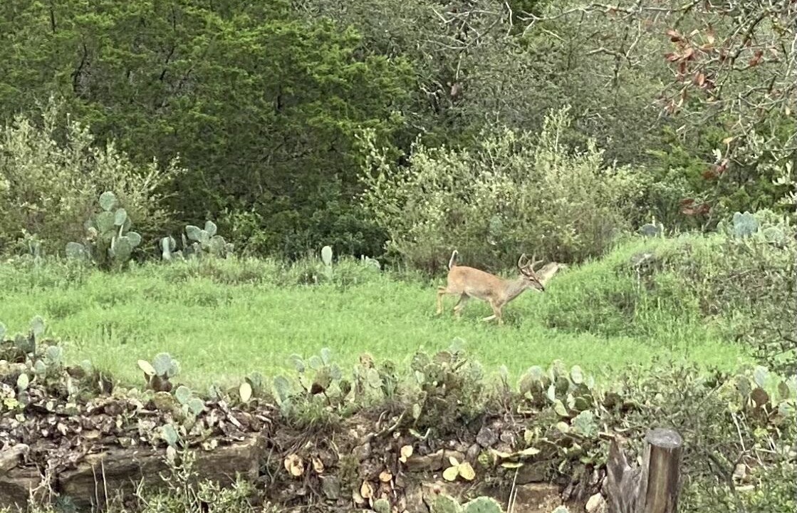 Photo of Others in Burnet