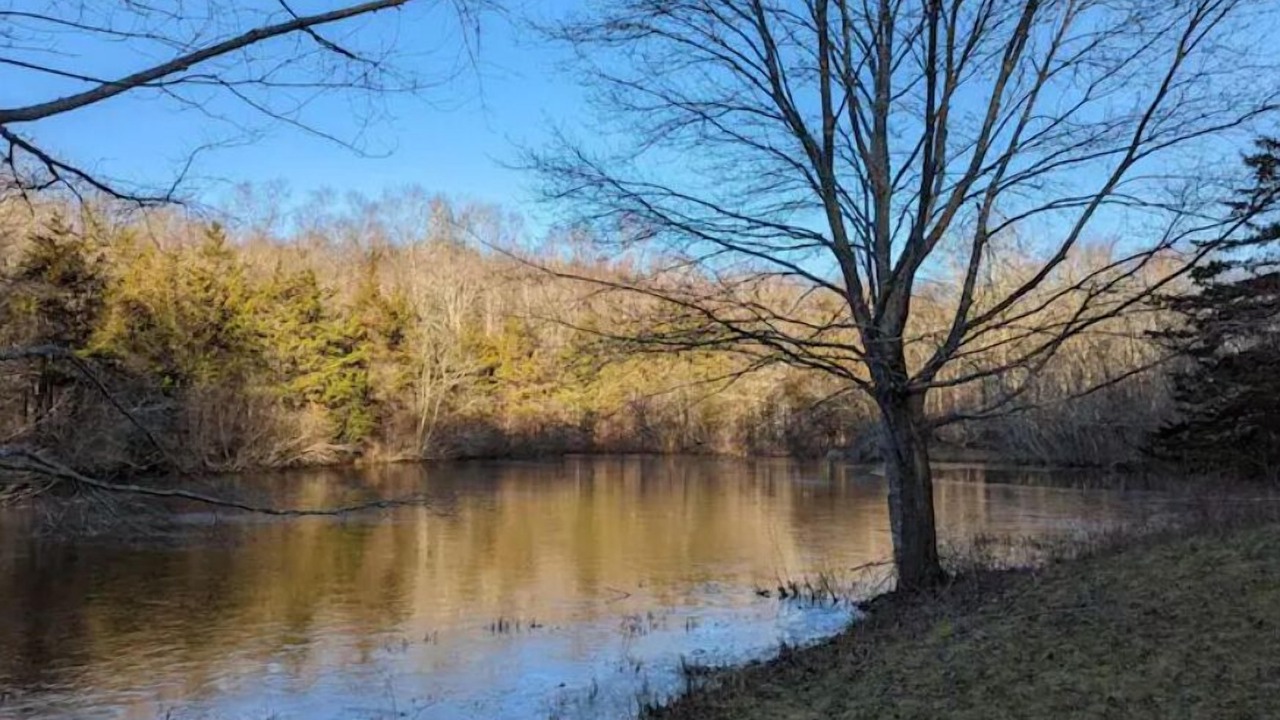 Photo of Others in Baltic