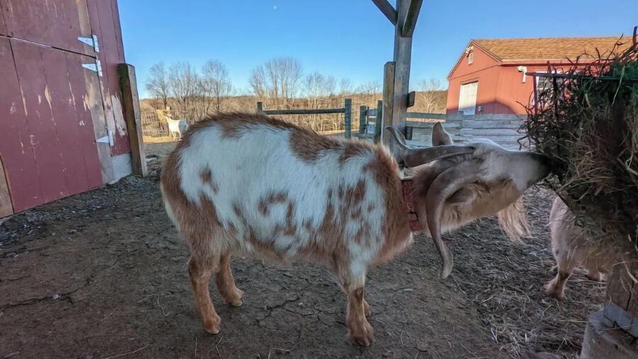 Photo of Outdoor in Baltic