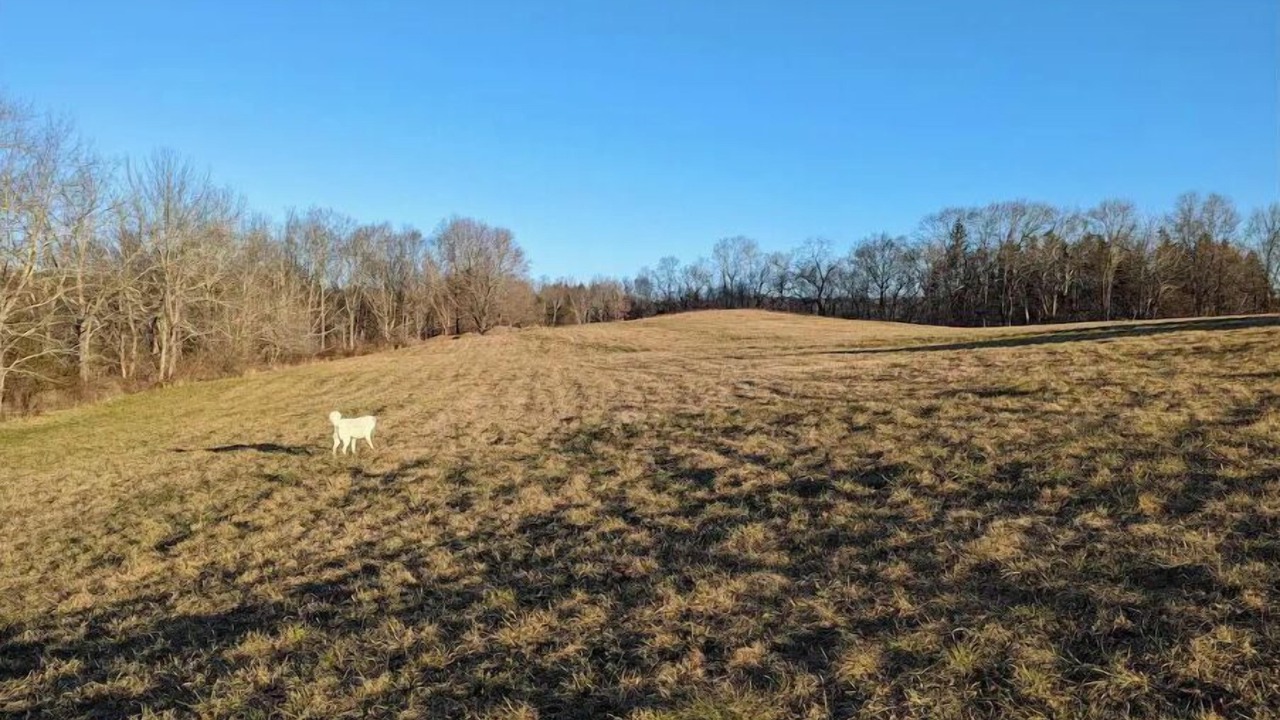 Photo of Others in Baltic