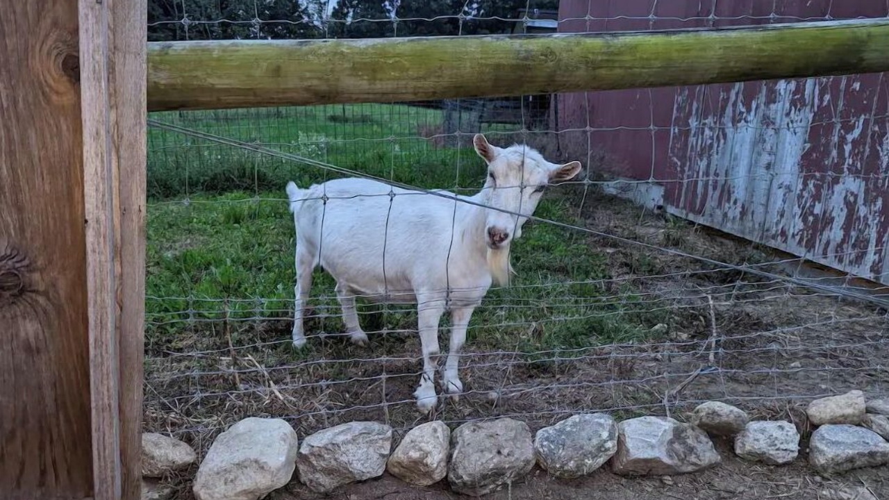 Photo of Outdoor in Baltic