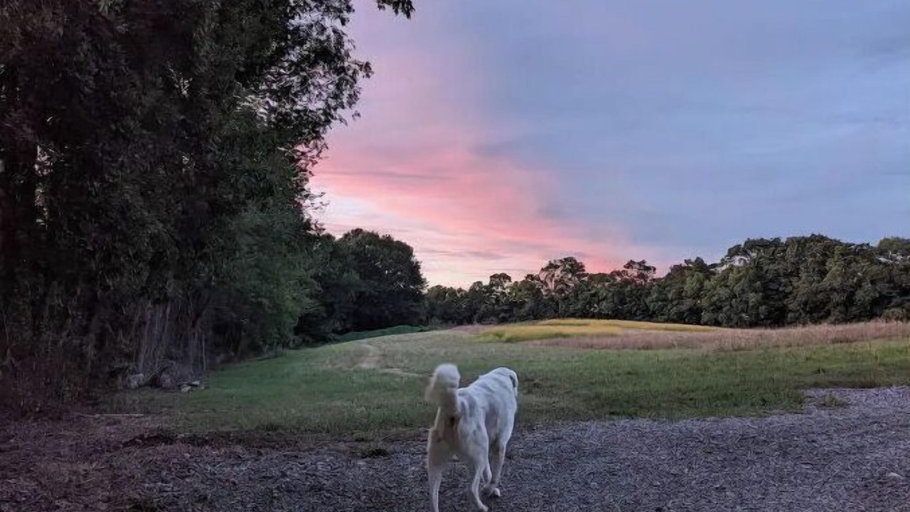 Photo of Others in Baltic
